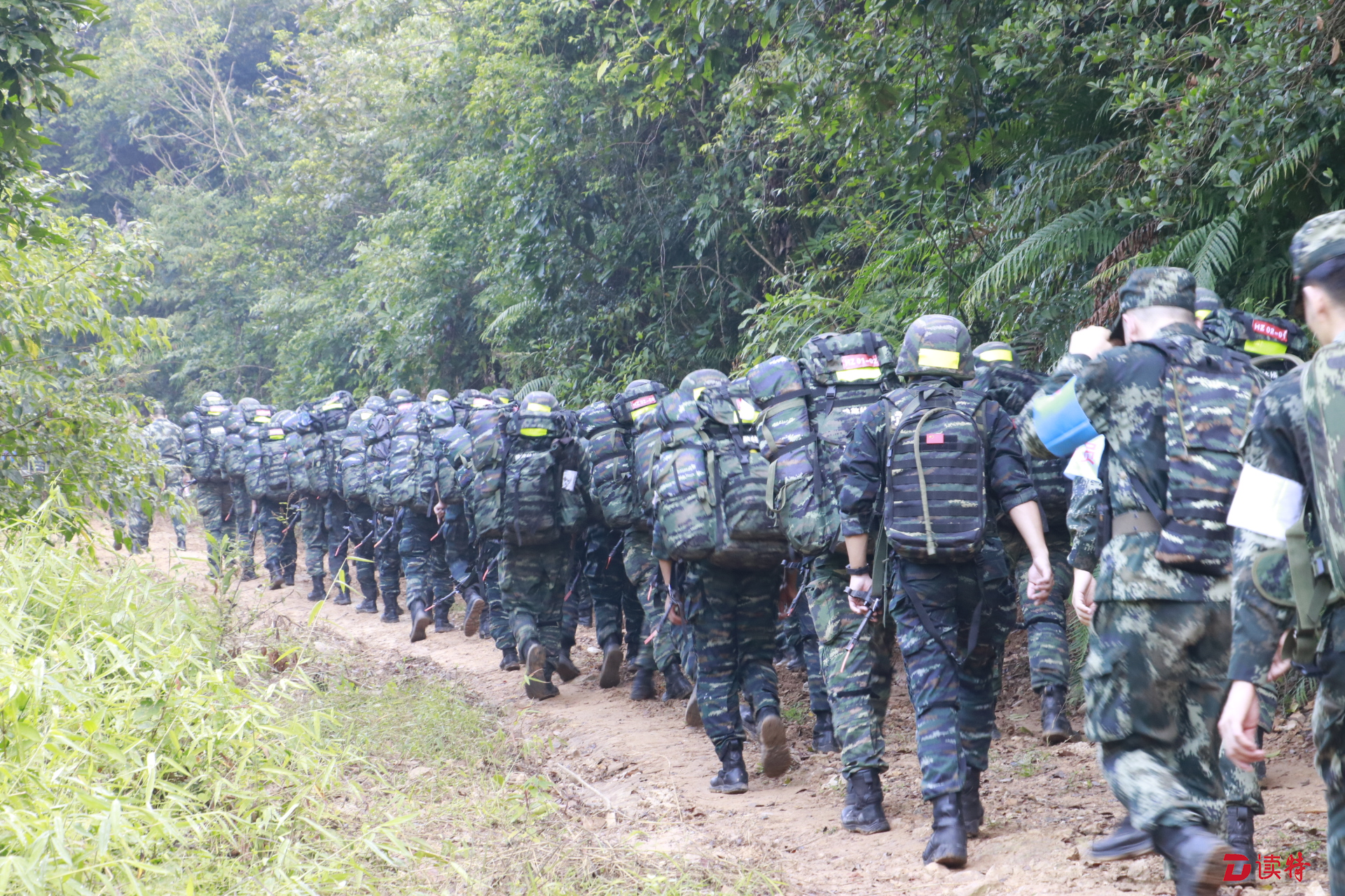 东莞武警总队训练基地图片