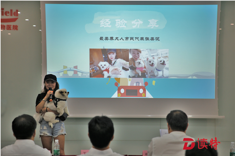 全城海选，深圳寻找最美养犬人