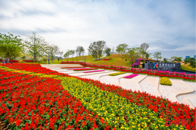 深圳北站中心公园开园，17.5万平方米里设置14个特色景点