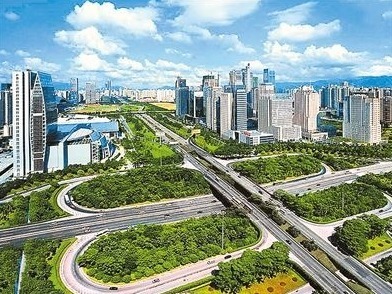 深圳实现“推窗见绿，出门见园” ！80%的市民参与了这事