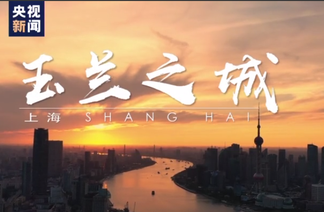 中央广播电视总台8K原创纪录片《玉兰之城》重磅首发！ 