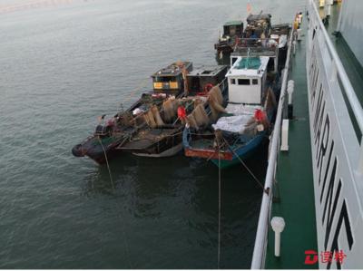 有些海域为什么不允许钓鱼？深圳湾海域禁渔有效期至2024年