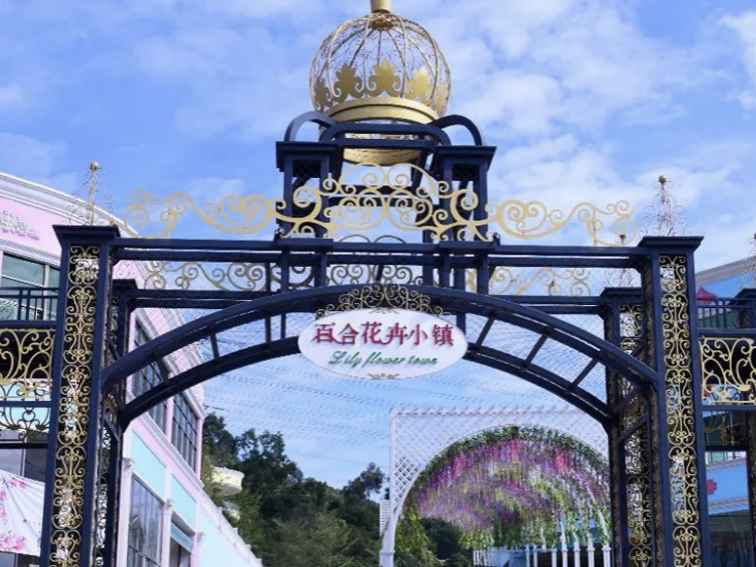 赏花插花去！百合花卉小镇举办首届百合花艺大赛
