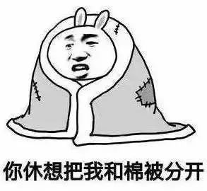 新一波冷空气“到货”，连广东都“加入群聊”