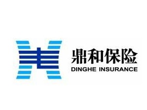 价值成长性备受看好 鼎和保险跻身中国非寿险十强