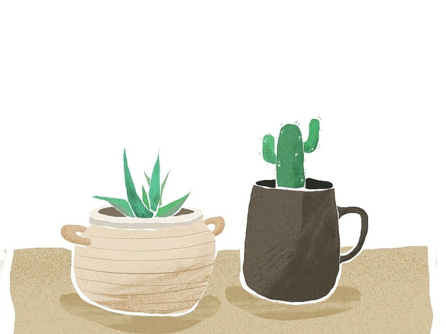 圈里圈外 | 养植物的自我总结