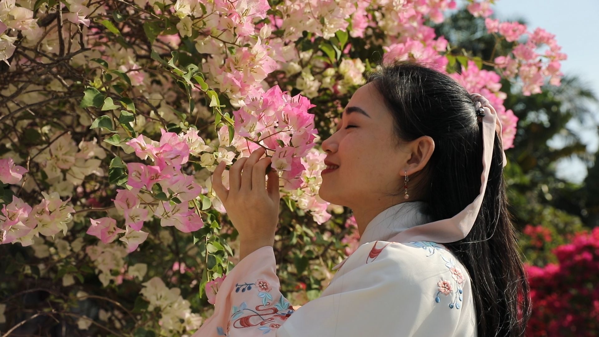 新闻路上说说说——莲花山超美花海明日开放！记者带你抢先看