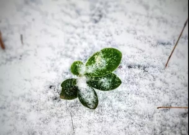 听 冬至 | 广州话 客家话 闽南话 潮州话