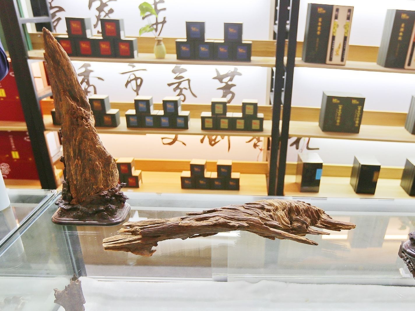 香博会在东莞寮步开启 全国超300家企业闻香而动  
