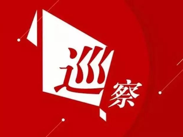 市委巡察组向被巡察党组织反馈六届市委第十轮巡察情况 