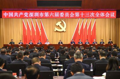 中国共产党深圳市第六届委员会第十三次全体会议决议