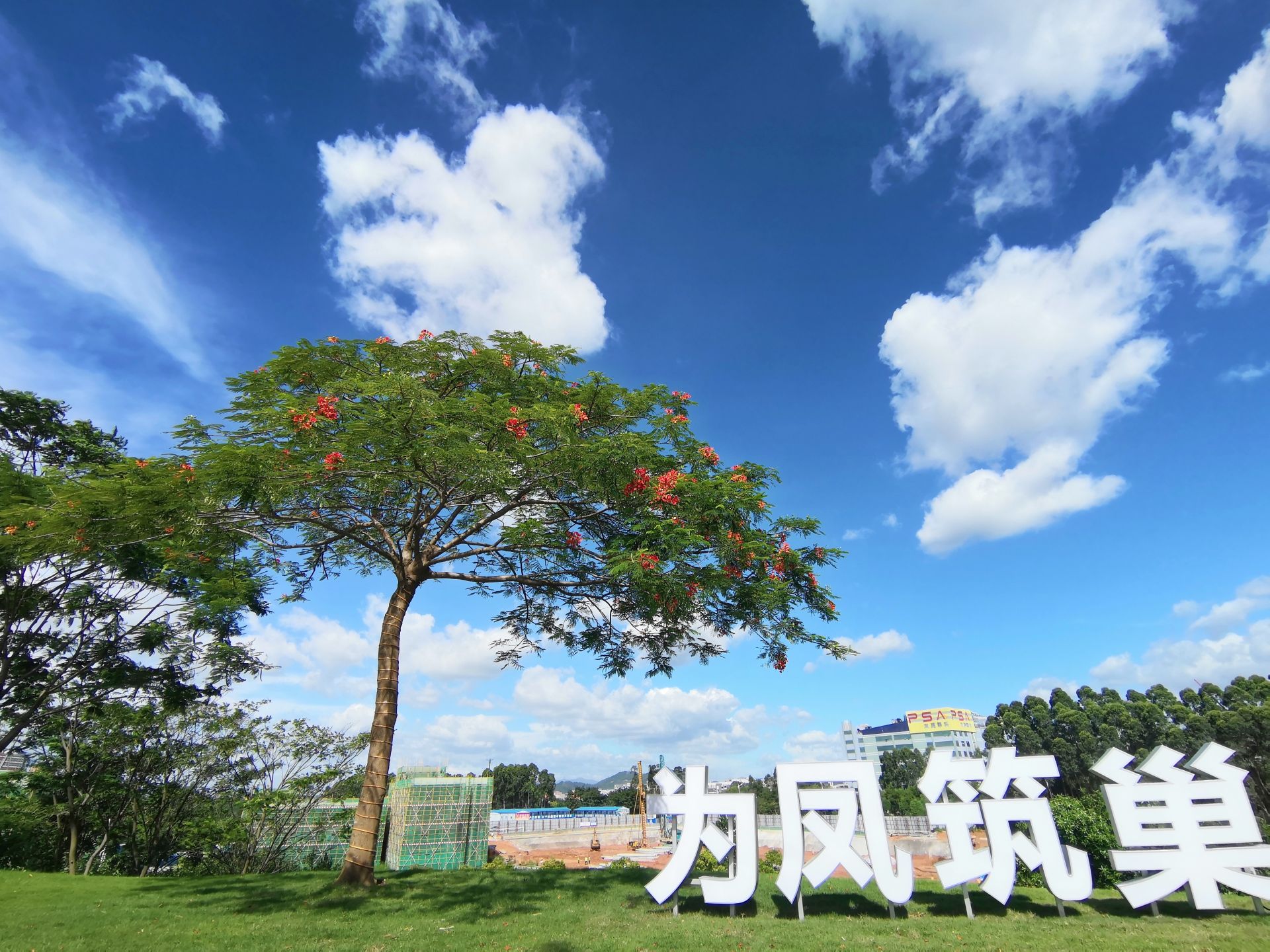 东莞松山湖，正吸引众多世界级公司目光
