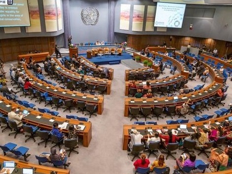 这项宣言以37:1的投票结果通过 美国投唯一反对票