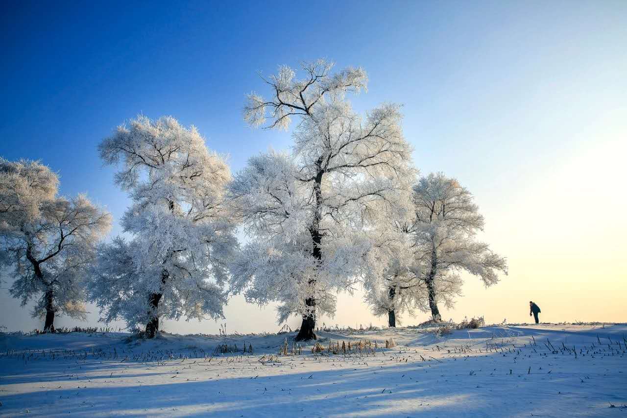 向着冰雪出发 | 长白山 雪国如画卷