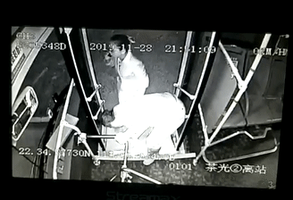 突发脑梗！危急时刻，深圳一公交司机“教科书式”操作保住全车人