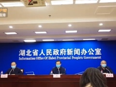 武汉市委书记回应武汉人在外地受歧视