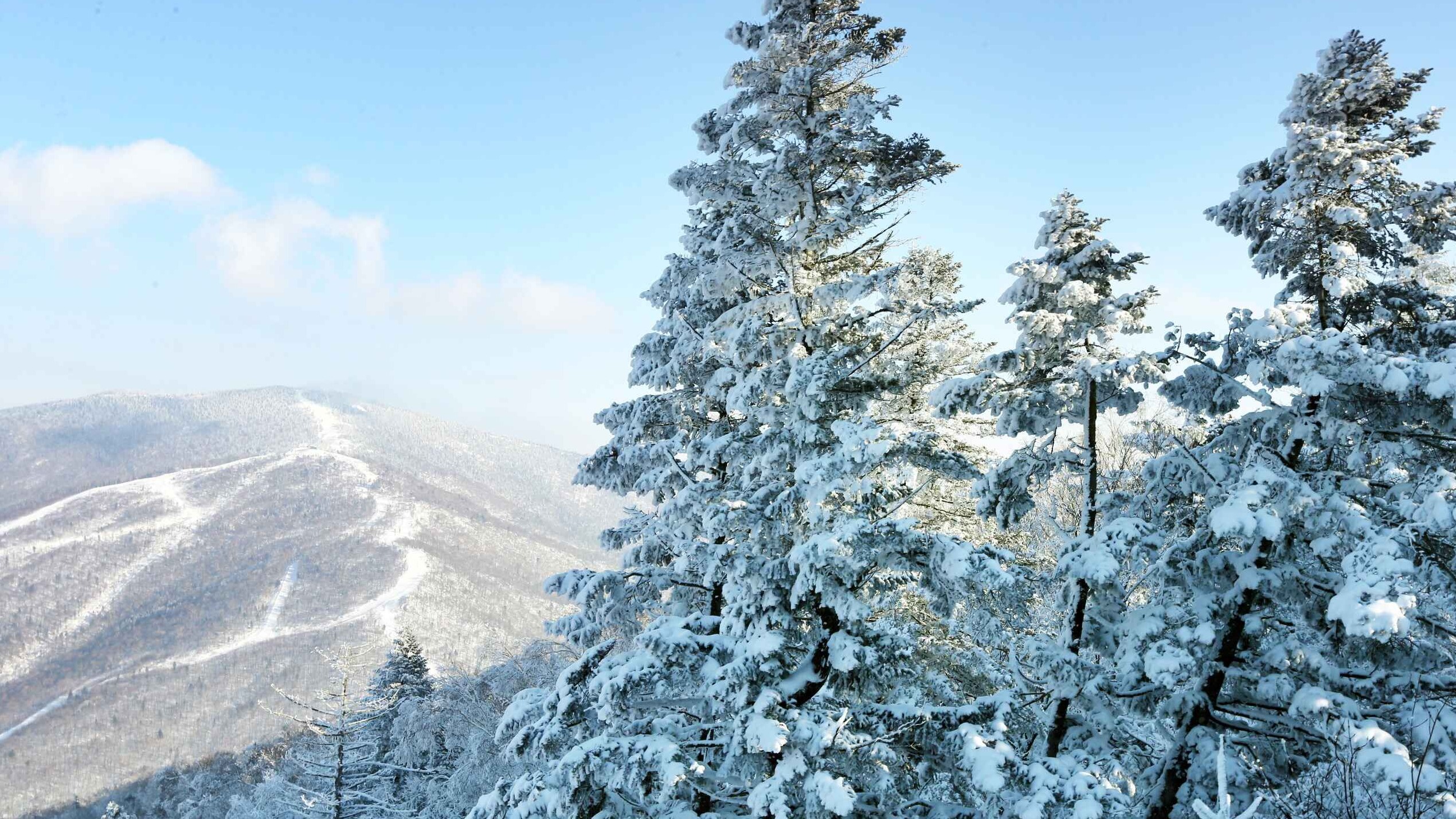 霜天雪岭北大湖  雾凇迎春风景独