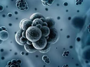安徽报告首例新型冠状病毒感染的肺炎确诊病例