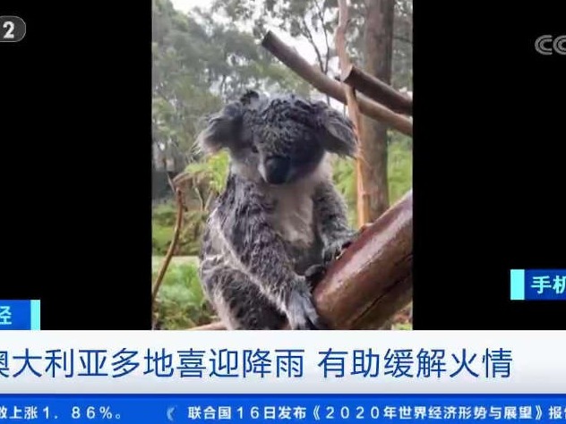 有救了，澳大利亚迎来大雨
