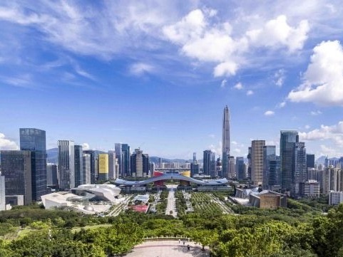 深圳市人大常委会：努力在新一年将深圳人大工作推上新台阶