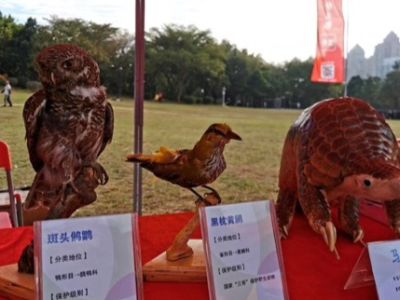深圳紧急部署加强野生动物疫源疫病监测