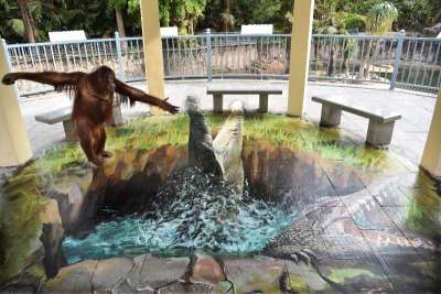 看见这个3D鳄鱼画，红毛猩猩惊呆了！