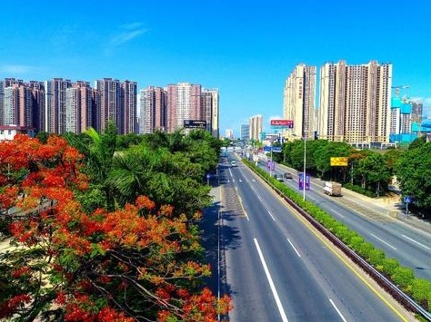 打赢防疫战 坪山在行动 | 全区全面开展针对新型冠状病毒肺炎的联防联控工作