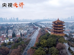 央视快评丨领导干部要深入防控疫情第一线