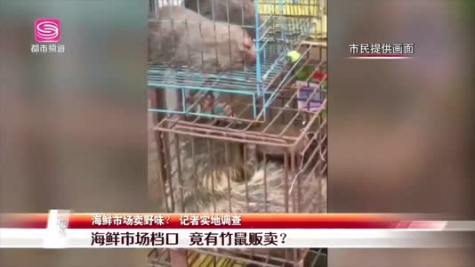 深圳海鲜市场卖野味？记者实地调查
