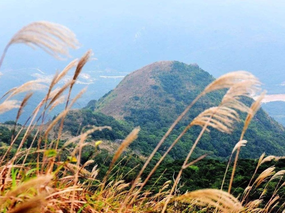 深圳两社区荣膺 “国家森林乡村”