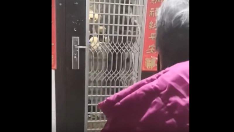 感人一幕！母亲探望医生儿子隔门哭泣