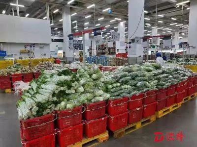 叶叶叶！深圳蔬菜总动员，1万吨菜、10倍供应量，即刻“应援”