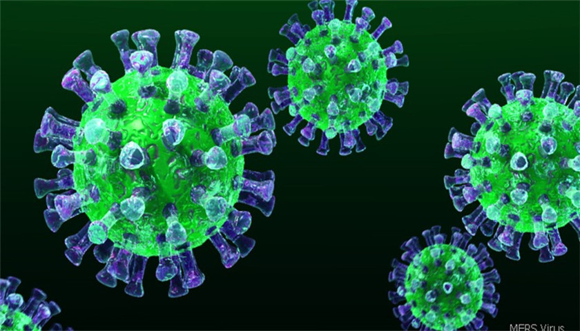 新型冠状病毒真实照片图片