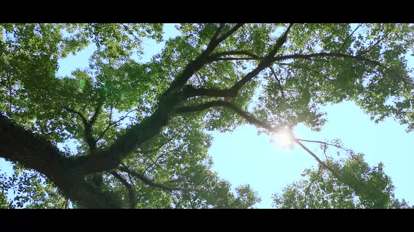 广东省海外文明安全出行公益宣传片