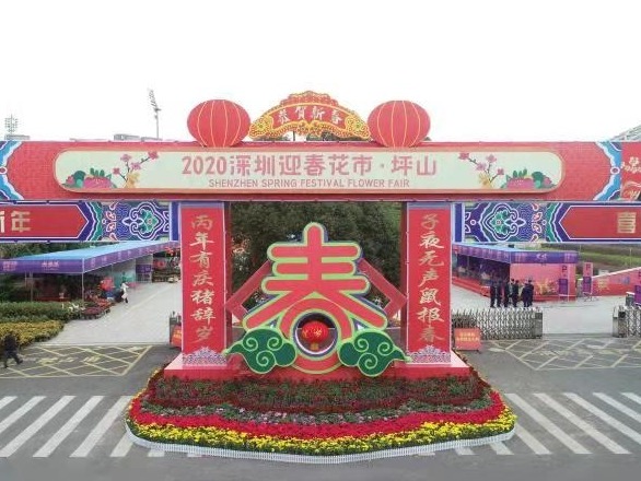 坪山迎春花市18日盛放！繁花盛景年味浓