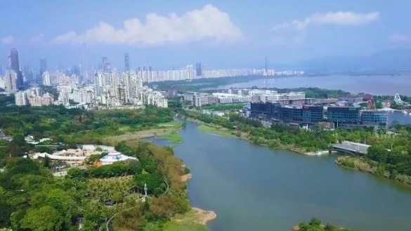 ​决战水污染治理 | 深圳水环境实现历史性转折 黑臭水体全面消除