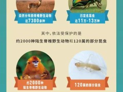 涉及野生动物的法律制度有哪些？如何进一步健全