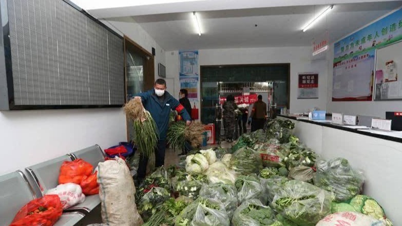 武汉将外省市爱心蔬菜优先分给困难群众