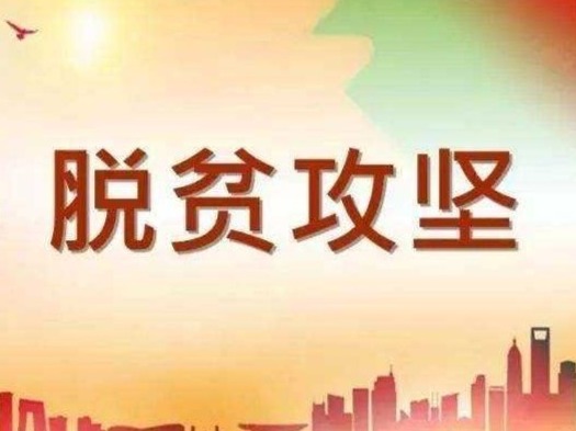 “深十条”助力打赢脱贫攻坚战和疫情防控阻击战！  