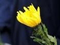 公安部：一个多月来全国公安民警和辅警有49人因公牺牲