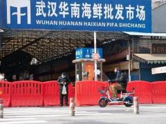 华南海鲜市场楼上商户自述：幸亏自己口罩戴得早