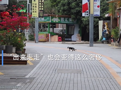 疫情下的深圳 | 大鹏“睡着了”，等她醒来我们再去看海吧！