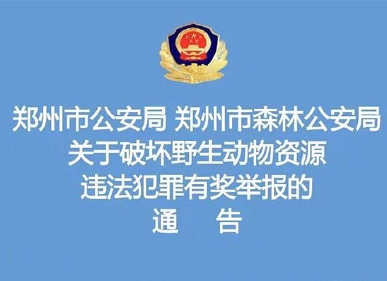郑州对破坏野生动物资源犯罪实行有奖举报：最高奖1万元以上