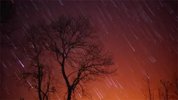 读特记者直击湖北战疫 | 恩施：疫情中的璀璨星光