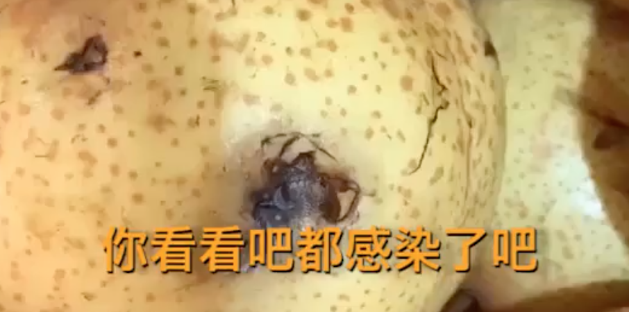 用水果科普疫情，网友：没见过这么生动形象的科普