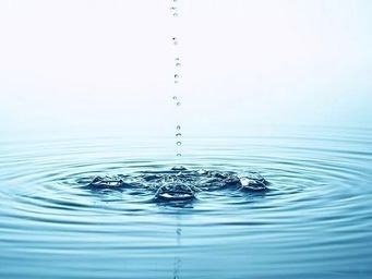 水环境质量未受疫情影响  深圳发布饮用水水源地水质监测结果通报