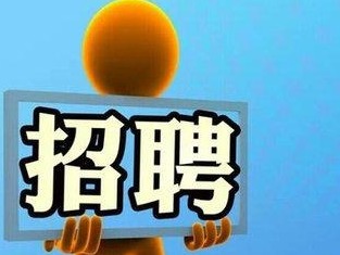 逾4万个岗位“虚位以待” 深圳市公益网络招聘月28日启动