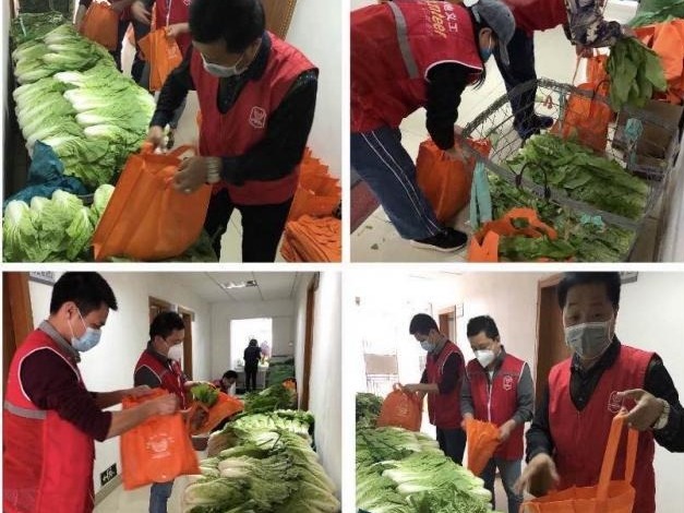 爱心市民捐1000斤蔬菜给坪地一线疫情防控人员