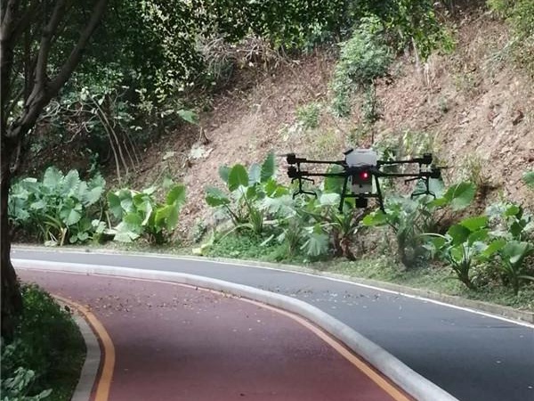 防治新冠病毒 多架无人机对淘金山绿道进行全面消毒
