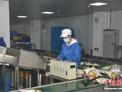 中科院专家支招应对疫情对中国经济的影响